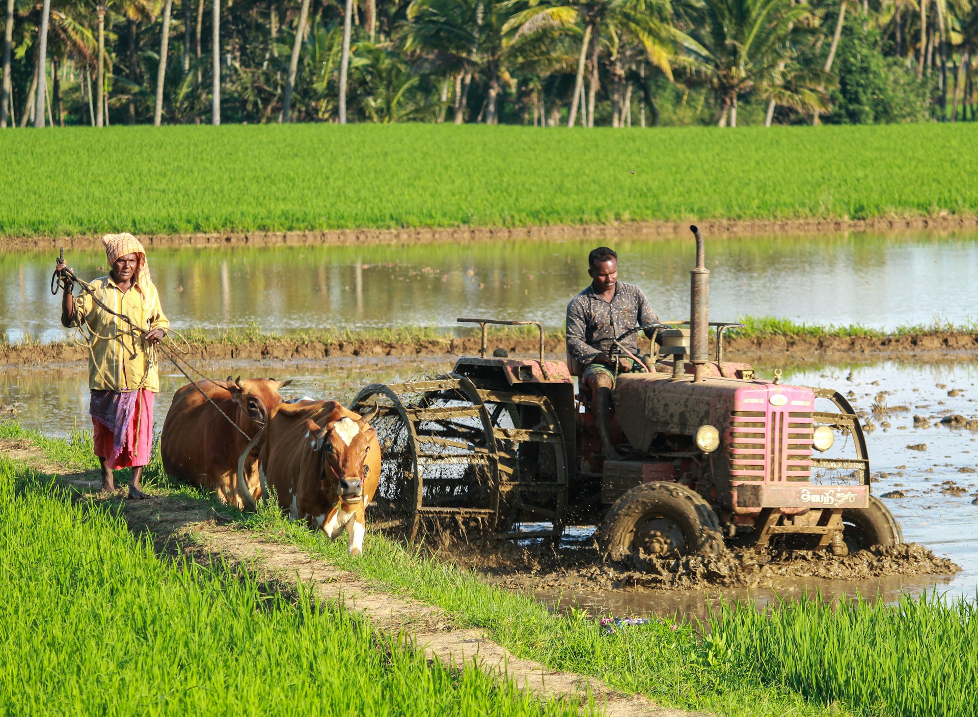 Entreprendre autrement dans l'agriculture